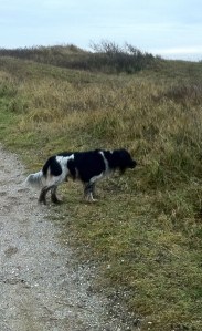 Snuffelen is een soort de krant lezen voor mij