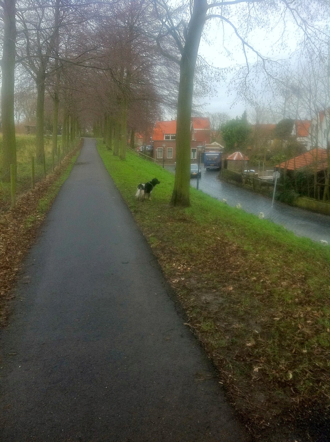 WAT RUIK IK NU WEER ALLEMAAL? YSBRANDT VERKENT BRIELLE