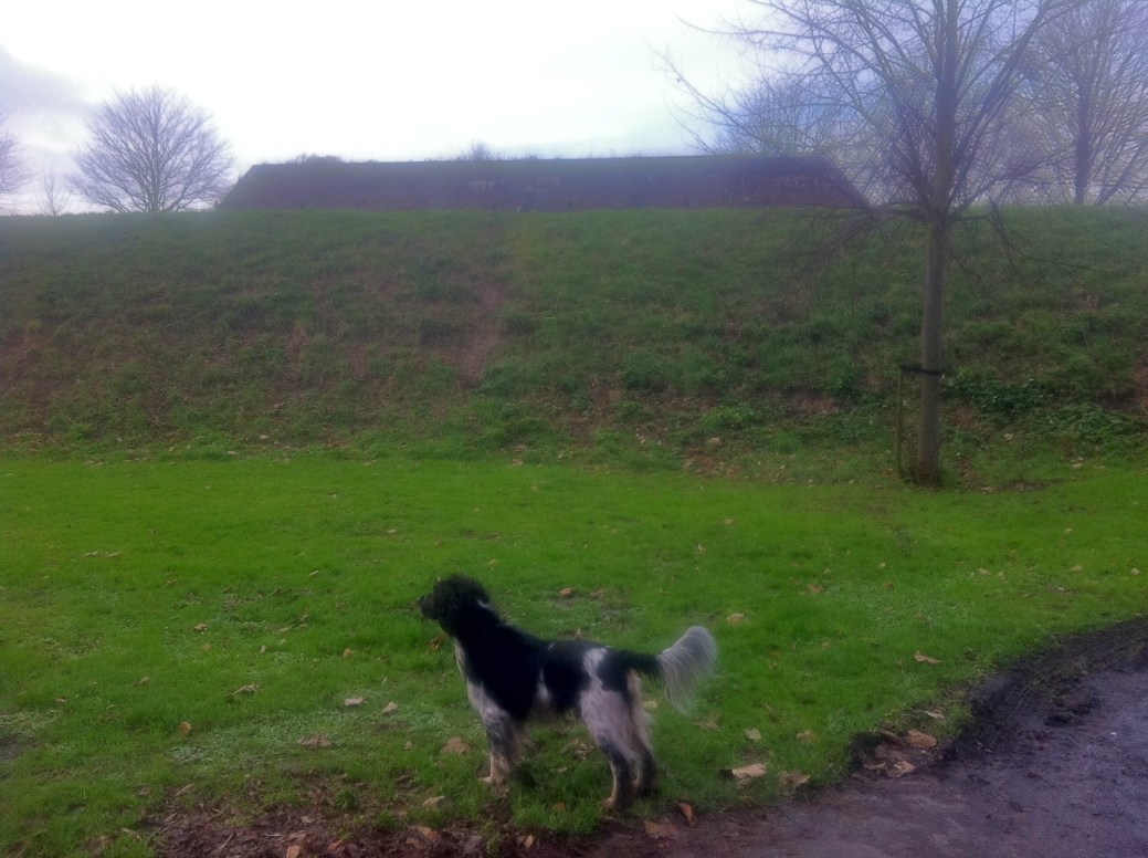 MAAR TOCH WAFT NIETS HET BIJ LEIDEN PRACHTIG TOCH