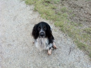 Maar ik hoor prima hoor