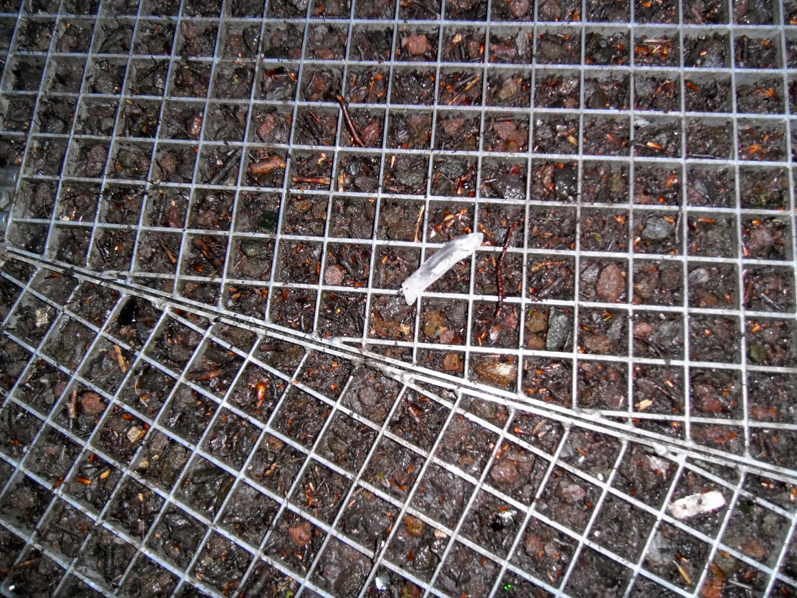 een cirkel van Danburiet