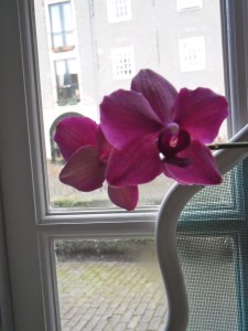 We hebben het gewoon naar ons zin... We hebben het gewoon naar ons zin...