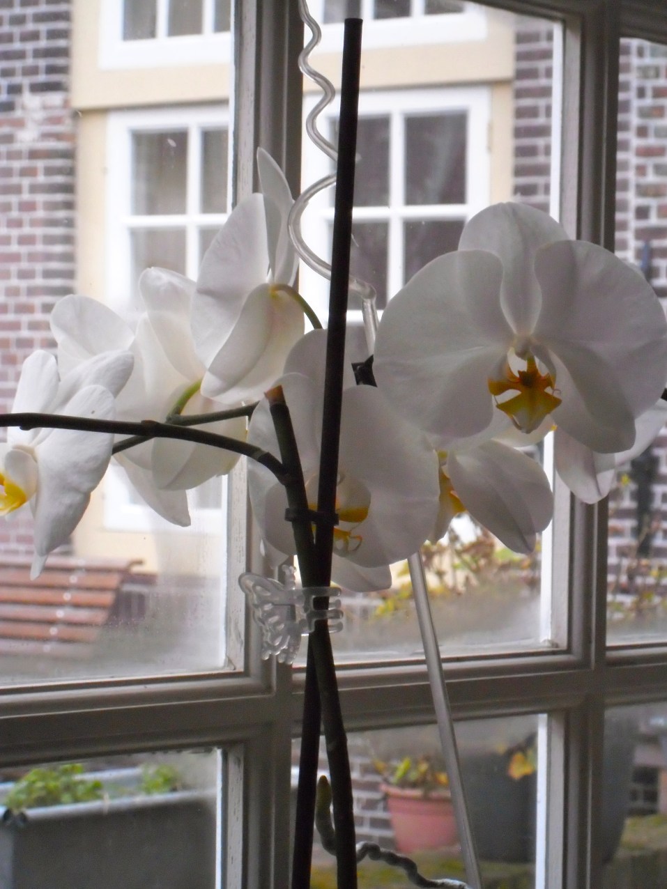 En ze praten terug!!