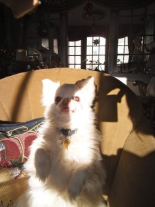 De schaduw is mijn hand met dat lekkers... De schaduw is mijn hand met dat lekkers...