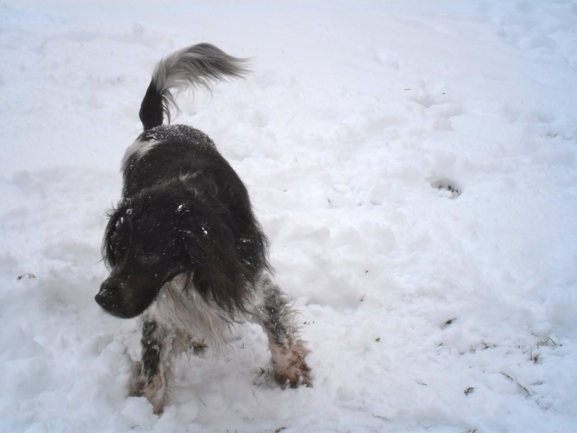 dat was even lekker... dat was even lekker...