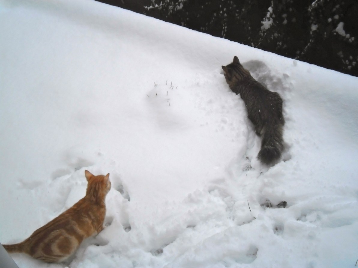 Aafje vindt het ook heel spannend Aafje vindt het ook heel spannend