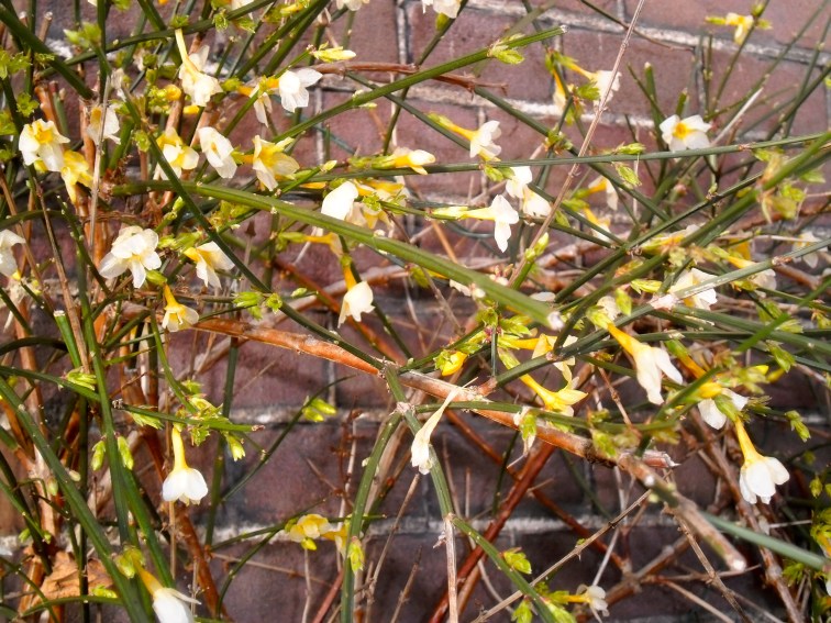 zonnend tegen de muur bij de dokter