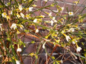 zonnend tegen de muur bij de dokter