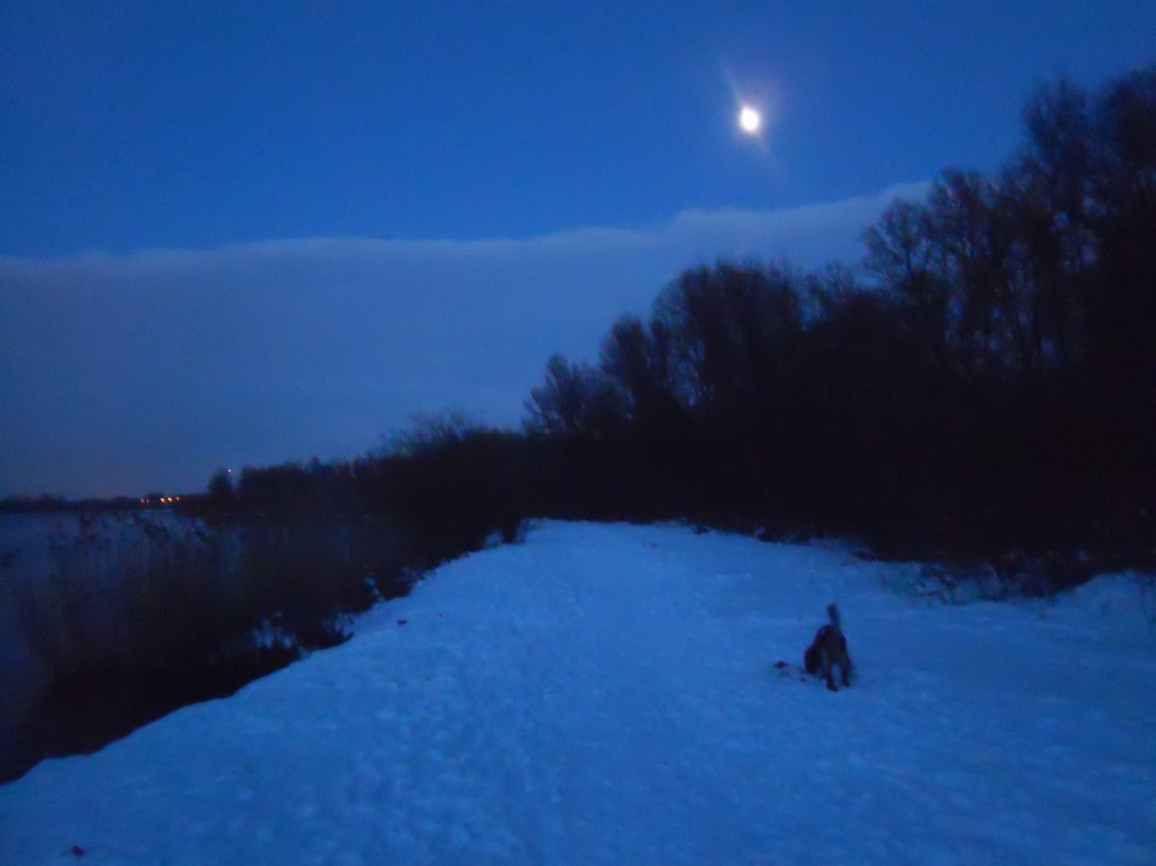 kan gaan en staan waar ik wil