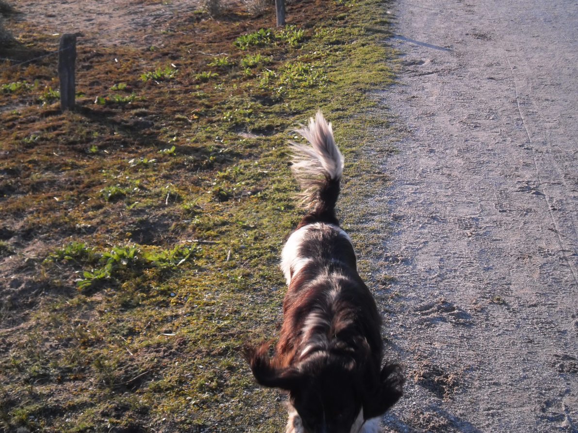 ik ben iets op het spoor...