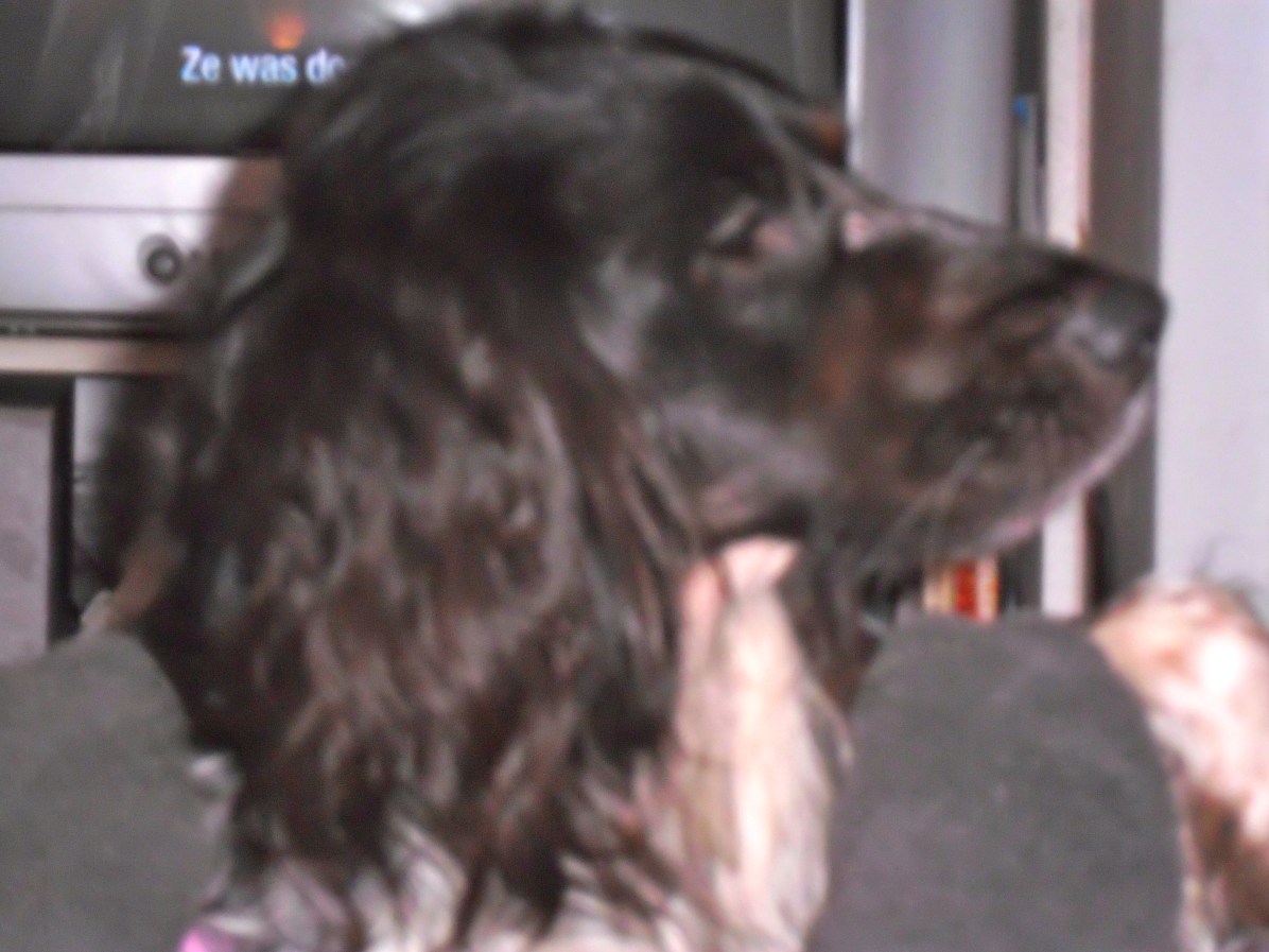 daarmee kan ik heel goed snuffelen.....