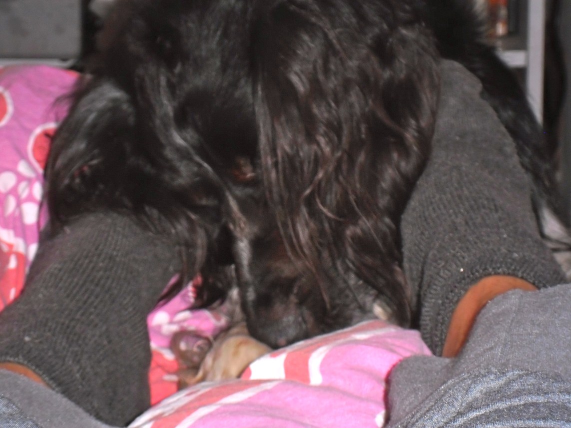 nu ruik ik toch iets interessants hier binnen