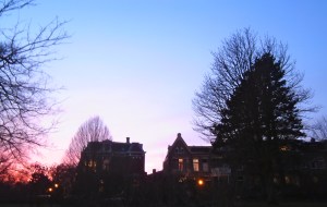 kleur door plantsoen