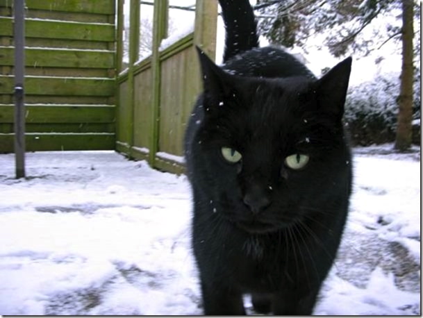 en stond op internet