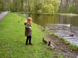 kind voert eendjes en makt ze aan het schrikken