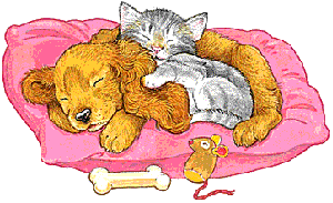 hond-en-poezen-13168