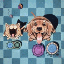 hond-en-poezen-13171