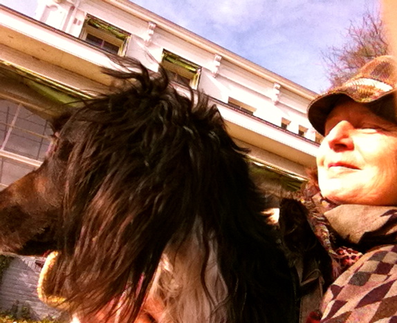 hond en baas lijken op elkaar