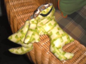 stoffen kikker, grappig, lachwekkend, mooi stofje