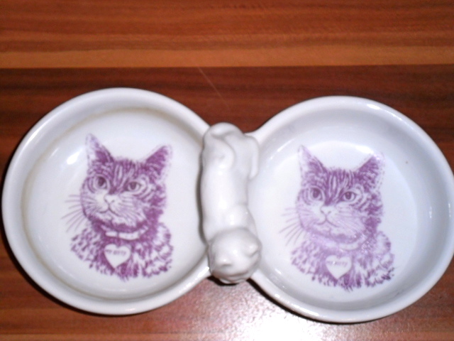 poezenschaaltjes, schattig