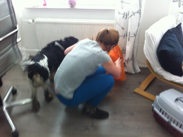 hond en vrouw