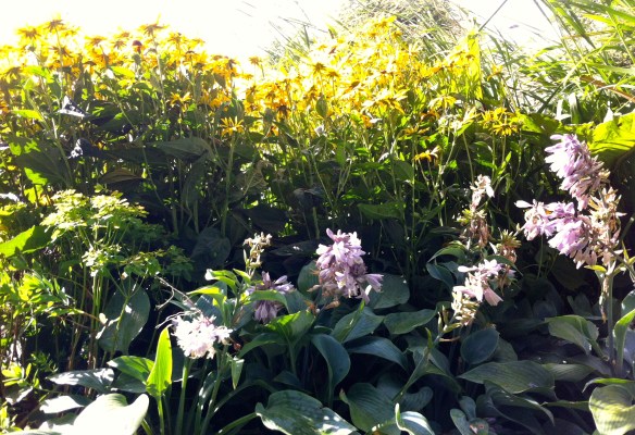 tuin aan de Singel in Leiden,