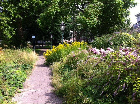 schitterende tuin aan Leidse singel in parkje