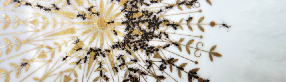 JEUK, KRIEBELIG, GEWASSEN JEUK