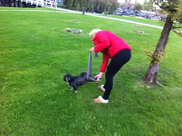 Billy en Lilly, kleine hondjes, hondje met hernia