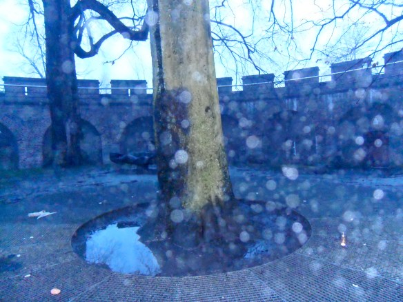 Orbs, lichtbollen, ceremonie, Leiden, heksjes, december 2012, 