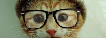 rare, gekke brillen, beesten met bril, dieren met bril,