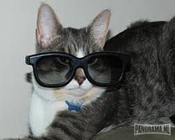rare, gekke brillen, beesten met bril, dieren met bril,