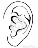 gehoor, binnenoor, gehoorbeschadigingen snel opgelopen, gevaar van te harde geluiden, 