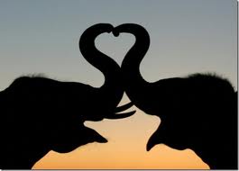 verliefd, liefde, hart, love, amor, verliefdheid, geliefden