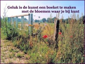 GELUK, Happy, blij, Lalala