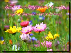 GELUK, Happy, blij, Lalala