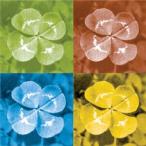 GELUK, Happy, blij, Lalala