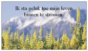 GELUK, Happy, blij, Lalala