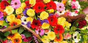 BLOEMEN, KLEURIGE BLOEMEN, COLORED FLOWERS