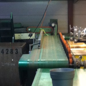 transportband in bloemenverwerkingsbedrijf