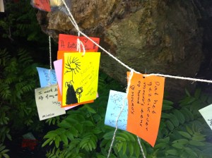 Wensboom, Oosterpark, Amsterdam, april 2014