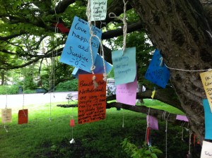 Wensboom, Oosterpark, Amsterdam, april 2014