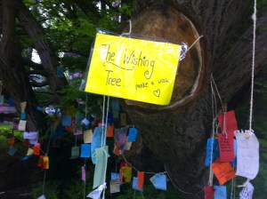 Wensboom, Oosterpark, Amsterdam, april 2014