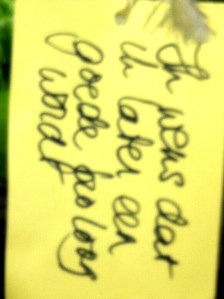 Wensboom, Oosterpark, Amsterdam, april 2014