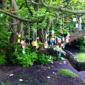 Wensboom, Oosterpark, Amsterdam, april 2014