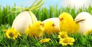 Pasen, kuikens, vrolijk pasen