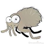 vlooienplaag, vlooien, flee, jeuk, krabben, bijten, allergisch, vlooienmijt, vlooienlarve, volwassen vlooien, kriebelen, plaag, 