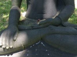 Boeddha.s. boeddhabeelden in Plum Village, mudra's, handhoudingen, mediteren, contemplatie, beelden, boeddha in het bos, onder de bomen, boeddha