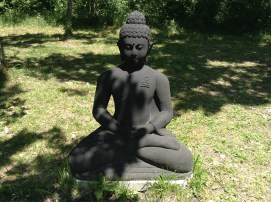 Boeddha.s. boeddhabeelden in Plum Village, mudra's, handhoudingen, mediteren, contemplatie, beelden, boeddha in het bos, onder de bomen, boeddha