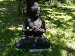 Boeddha.s. boeddhabeelden in Plum Village, mudra's, handhoudingen, mediteren, contemplatie, beelden, boeddha in het bos, onder de bomen, boeddha